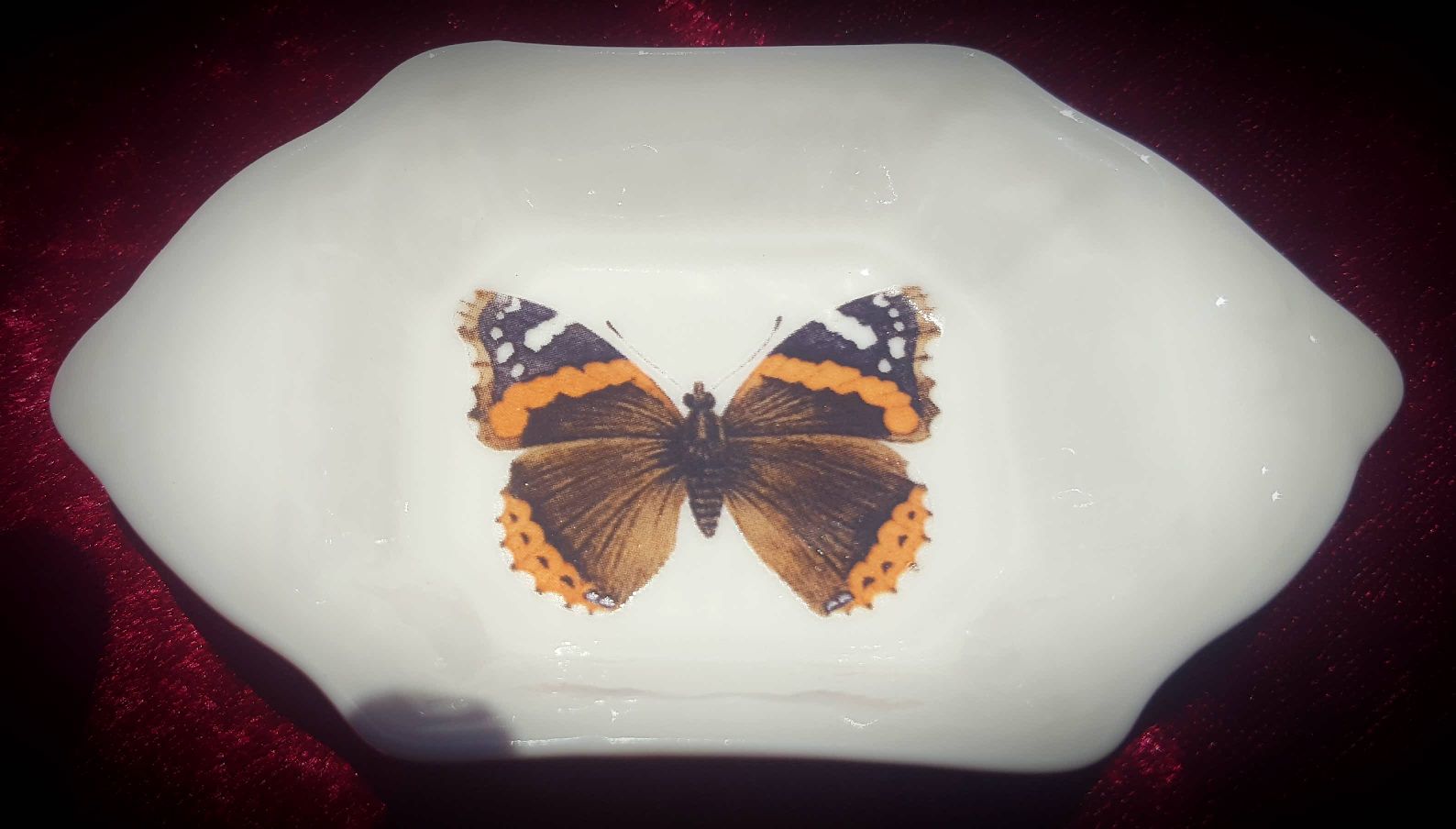 Butterfly tray 13